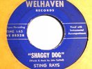 STING RAYS : SHAGGY DOG  1967 MN. Garage 45 LISTEN