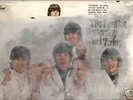 The Beatles  mono LP Yesterday & Today butcher cover