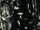 NURSE WITH WOUND Insect & Individual Silenced orig NWW
