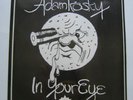 ADAMKOSKY In Your Eye  private folk psych