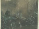 Steely Dan Katy Lied Sealed Mobile Fidelity MFSL 1-007