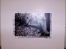 SUNN Whitebox white box OOP 4 LP boris isis earth