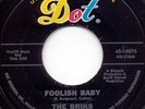 BRIKS foolish baby FANTASTIC 1966 TEXAS GARAGE HEAR