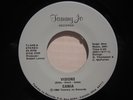 rare Modern Soul 45 - CANIA Visions on Tammy Jo MP3