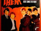 THEM w/VAN MORRISON FIRST ALBUM NICE ORIG 1965 MONO LP