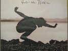 EDDIE VEDDER INTO THE WILD VINYL LP+7