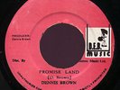 Dennis Brown Promise Land DEB Music 45 orig Listen