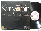 SPONTANEOUS MUSIC ENSEMBLE - Karyobin, pink eye Island