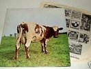 PINK FLOYD-ATOM HEART MOTHER-1970-ORIG UK LP+INNER