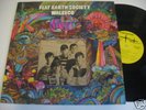 original '68 FLAT EARTH SOCIETY Waleeco LP U.S. psych