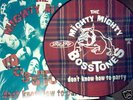 MIGHTY MIGHTY BOSSTONES lp on big rig pic disc rare