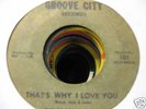 THE PROFESSIONALS-That's Why I Love You-NORTHERN SOUL45