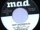 Regents - What'cha gonna do - m.a.d - LISTEN