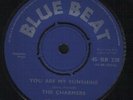 Charmers - You Are My Sunshine - MINT MINUS *LISTEN*