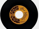 RARE 45 RPM  THE PAPER FORTRESS - BUTTERFLY HIGH