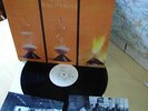 RAW MATERIAL TIME IS MINT PROGRESSIVE MONSTER
