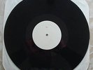 punk /SCREECHING WEASEL : My Brain Hurts  TEST PRESS lp