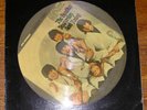 Rare Limited LP BEATLES STEREO Butcher LP picture disc