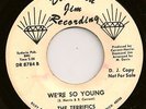 TERRIFICS - RARE DETROIT NORTHERN SOUL PROMO HEAR 45