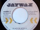 rare Jamaica Reggae 45 DELROY WILSON place in africa