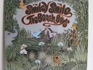 BEACH  BOYS - LP 