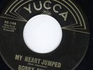 Texas Teen rocker bobby Fuller Yucca 144 2nd record M-