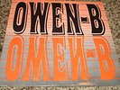 RARE OHIO PRIVATE LABEL PSYCH LP/OWEN-B/ EXCELLENT COND