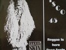 STEEL 'N' SKIN Afro Punk Reggae Dub 12