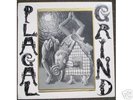 PLAGAL GRIND rare XPRESSWAY 013 MLP ltd 500 flying nun
