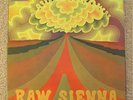 SAVOY BROWN raw sienna DECCA mono LP 1970 1st nrMINT