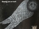 Wings Kissing You So Hard KILLER AFRO FUNK PSYCH LISTEN