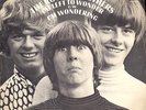 POP PSYCH 45: THE ROONEY BROTHERS in PS 1968  LISTEN