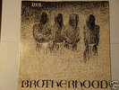 DYS Brotherhood original XCLAIM vinyl, SSD, FIX,MISFITS