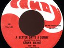 KENNY WAYNE & KAMOTIONS Better Days GARAGE PSYCH 45 NM