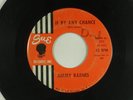 JIMMY BARNES northern soul 45 IF BY ANY CHANCE SUE