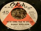 RARE NORTHERN SOUL 45/ SANDI SHELDON 