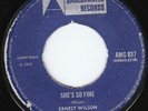 Glen Adams - She's So Fine -KILLER ROCK-STEADY *LISTEN*