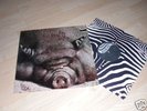 Kin Ping Meh 2 German Original 1st Press. 1972 Zebra