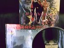 MOUNTAIN -GO FOR YOUR LIFE JAPAN ARCHIV LP MINT MEGARAR