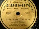 Rare Edison 78 Record Needle Type 12