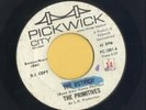 THE PRIMITIVES/ THE OSTRICH / LOU REED / GARAGE CLASSIC