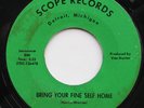 SOULETTES  FINE SELF RARE DETROIT NORTHERN SOUL 45 HEAR