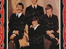 RARE PRIVATE 60'S GARAGE FUZZ PSYCH 