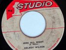 rare Jamaica Reggae 45 DELROY WILSON jerk all night