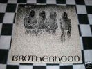 D.Y.S. - BROTHERHOOD (LP) SOA DYS YOUTH OF TODAY USHC