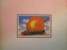 The Allman Brothers Band 