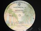 MIROSLAV VITOUS New York City U.S. PROMO 1976 12