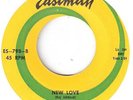 DOO-WOP / R&B  THE JAYHAWKS   
