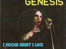 GENESIS - 