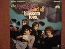 THE BLOSSOM TOES:The psychedelic sound.Italy 1968 ORi